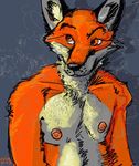  allison_reed canine fox java male portrait solo 
