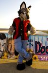  black_eyes clothing fursuit hikaruwolf jeans male outside photo real scenic seaside shirt solo unknown_artist 