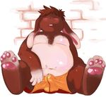  bulge chubby clothing cum cum_in_pants cute fat fur gazpacho gazpacho_(artist) lagomorph male mammal overweight paws rabbit shorts solo 