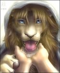  2010 anthro arabic blue_eyes brown_hair claws close-up colored couple desert digitigrade drinking feline hair human lapping lion looking_at_viewer male mane tongue water whiskers zen 