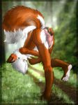  bent_over bulge butt canine forest fox furryratchet lens_flare male mammal solo tree underwear wood 