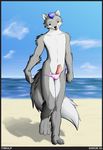  beach canine canine_penis girly male ocean penis sand sea seaside shiuk solo tongue wolf 