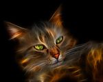  cat feline fire fractalis photorealism solo 