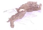  canine kaputotter lying male mammal nude on_back penis plain_background sleeping solo white_background wolf 