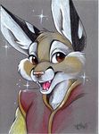  1997 chester fangs male portrait ringtail smile solo sparkles terrie_smith 