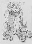  alcohol animal_genitalia balls beer beverage bottle canine canine_penis collar drunk greyscale kaputotter knot male mammal monochrome nude penis plain_background sketch solo white_background wolf 