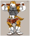  aaron anthro canine dog male mammal muscles pitbull pose solo 