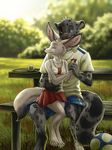  bench canine feline female fennec fox hi_res hybrid hyhlion lap love male nibble nom panther park shorts skirt snow_leopard soccer sports teen tennis young 