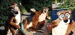  brown brown_fur chubby fur fursuit looking_at_viewer male mammal mustelid otter outside overweight paws real sitting unknown_artist whiskers 