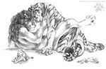  blotch feline gay lion male plushies tail tiger 