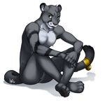  black black_fur calorath_(character) feline fur holly_marie_ogburn male mammal muscles nude panther plain_background pose solo white_background 