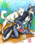  allison_reed animal anthro_bestiality canine canine_penis dog feral gay interspecies java knot male penis sheath wolf 
