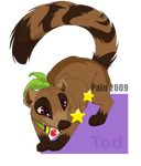  alpha_channel coati feral non-anthro pain_(artist) raised_tail royal-pain-in-the-ass royalpainintheass solo star 