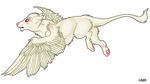  holly_massey mammal plain_background solo tail white_background wings wolf 