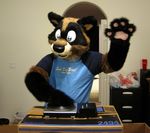  cute dj fursuit male mammal raccoon radix solo sophiecabra wave waving 