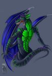  crome dragon male solo venator-somniorum wings 