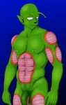  dragon_ball_z piccolo tagme 