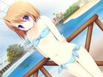  1girl bare_shoulders bikini blue_eyes blush brown_hair child game_cg highres kicking_horse_rhapsody midriff miyasu_risa pool short_hair solo swimsuit tsuji_shino 