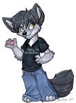  black_hair canine clothing hair holly_massey male mammal pants plain_background shirt solo tail white_background wolf 