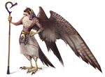  avian bird egyptian falcon horus male nejita solo tail wings 