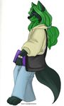  alkaline-lady canine clothing fox green james male smirk solo 
