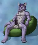  balls bean_bag catwolf dragon hard male masturbation penis plantigrade purple reclining scalie solo zenon 