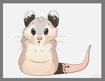  2010 :o ambiguous_gender belly black_eyes cute fluffy grey keravist looking_at_viewer marsupial open_mouth pink_nose possum pouch scaly_tail sitting solo spots surprised tail virginia_opossum whiskers white 