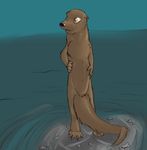  brown brown_fur fur jjiinx mammal mustelid otter outside rock solo standing syynx tail water 