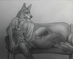  canine cruelty fennec fox hug male marcus reis romantic rukis wolf 