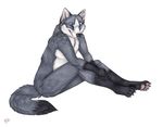  canine korrok male mammal paws plain_background plantigrade sitting solo takoda white_background wolf 