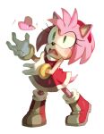  amy_rose bluekomadori color_connection creature creatures_(company) dress frown game_freak gen_3_pokemon gloves green_eyes highres luvdisc nintendo no_humans pokemon pokemon_(creature) red_dress red_footwear shoes short_dress simple_background sonic_the_hedgehog white_background white_gloves 