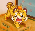  box brown cub cute eyebrows fangs feline feral momiji_yu-ga open_mouth orange_(fruit) solo standing stripes tail tiger white yellow 