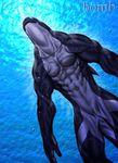  anthrofied bomb_(artist) cetacean epic male mammal marine muscles orca solo swimming whale 