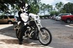  chaps dog fursuit headlights husky looking_at_viewer male mammal motorcycle real solo source_request unknown_artist 