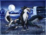  canine eyes_closed feral fox night savoy tail tani_da_real 