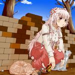  brick_wall can cat fujiwara_no_mokou kasupikai messy_hair solo touhou 