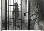  canine fox jail male marcus piercing reis rukis 