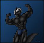  anthro black black_fur black_nose bulge canine feline fur green_eyes grey_hair hair hybrid male mammal muscles nipples pose pubes pubic_tuft solo tail underwear wolf zwolf zwolf_(character) 