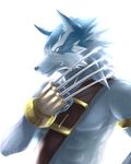  aotsuki091 canine claws male mammal plain_background sachs shining_soul_2 sky_(artist) solo white_background wolf 