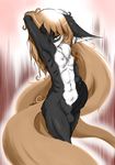  black_penis brown_hair folf girly hair leon_anubis_blackmane male nude penis solo tail very_long_hair 