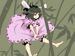  animal_ears bamboo bamboo_forest barefoot black_hair bloomers bunny_ears dress epurasu forest inaba_tewi nature red_eyes solo touhou underwear 