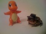  amphibian awesome brown_skin charmander cute feral frog hat nintendo orange_body pok&#233;mon pok&eacute;mon real unknown_artist video_games 