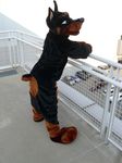  balcony canine doberman dog fursuit male mammal outside pose real solo tail unknown_artist 