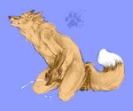  blotch canine canine_penis cum fox male masturbation norse-mischief penis solo 