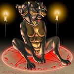  2010 bow breasts candle canine cerberus collar cuprohastes dog female heterochromia multi_breast multiple_heads pussy solo wingdings 