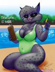  breasts eyewear feline female fossil mammal one-piece_swimsuit pencil pool solo sunglasses swimsuit tina_lynx water 