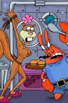  breasts crab derp kitchen mr_krabs nipples rodent sandy_cheeks sea spongebob_squarepants squirrel 