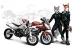 canine cute dog fox friends gay invalid_tag leather male mammal motorbike plain_background suit suzuki tails truegrave9 white_background wolf 