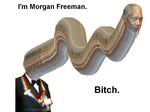  classy cnn crap_art female funny lesbian morgan_freeman not_furry quit_crying rainbow text what 