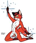  1995 canine fox kneeling lance_rund magic male nude penis solo 